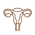 Ginecologia e Obstetrícia